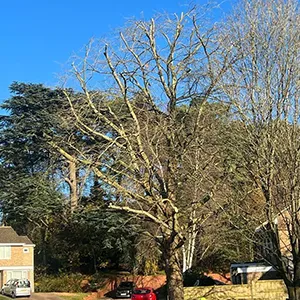 a red truck is parked in front of a house