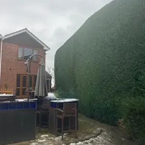 after hedge image